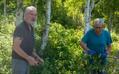 0520_midsommar_7