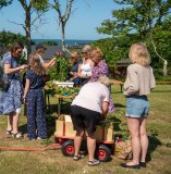 0520_midsommar_8