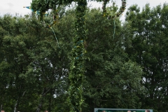 thumbs_026