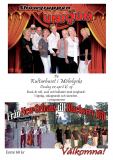 2009-affisch