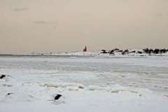 februari 2010 110