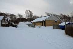 februari 2010 156