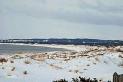 februari 2010 211