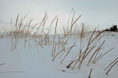 februari 2010 097