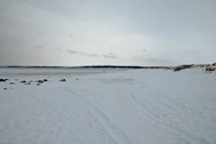 februari 2010 102