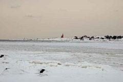 februari 2010 110