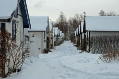 februari 2010 162