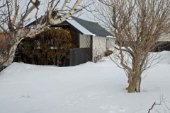 februari 2010 172