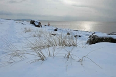 februari 2010 179