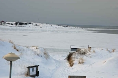 februari 2010 209