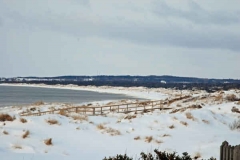 februari 2010 211