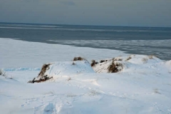 februari 2010 212