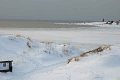 februari 2010 213