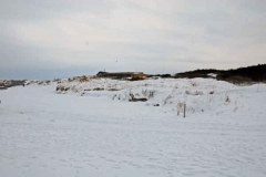 februari 2010 227