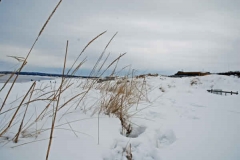 februari 2010 246