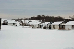 februari 2010 249