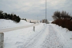 februari 2010 253
