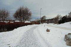 februari 2010 254