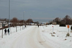 februari 2010 260