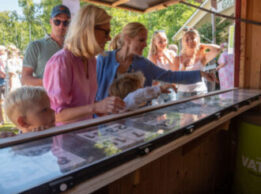 0520_midsommar_23